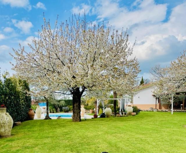 Villa "Casa Al Chiazzullo" Mirabella Eclano Екстер'єр фото